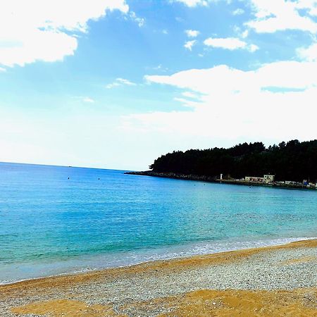 Philoxenia Guest House Himare Exteriör bild