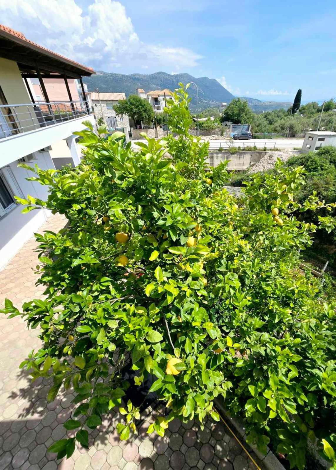 Philoxenia Guest House Himare Exteriör bild